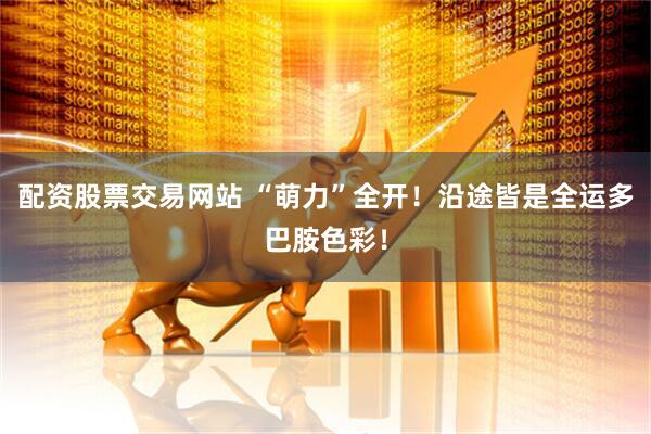 配资股票交易网站 “萌力”全开！沿途皆是全运多巴胺色彩！
