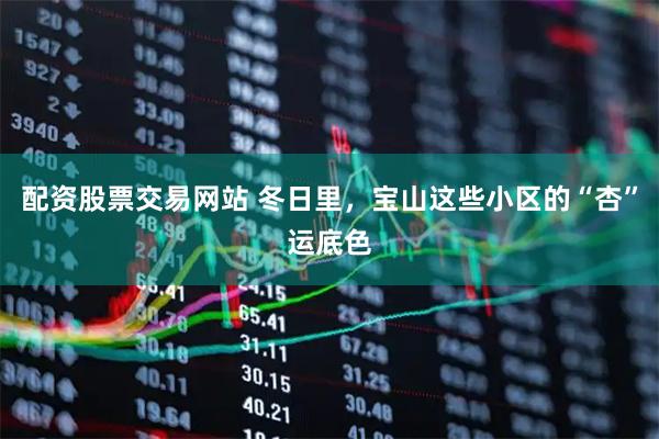 配资股票交易网站 冬日里，宝山这些小区的“杏”运底色