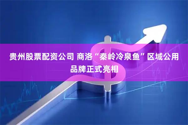 贵州股票配资公司 商洛“秦岭冷泉鱼”区域公用品牌正式亮相