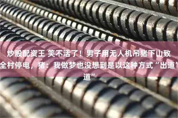 炒股配资王 笑不活了！男子用无人机吊猪下山致全村停电，猪：我做梦也没想到是以这种方式“出道”