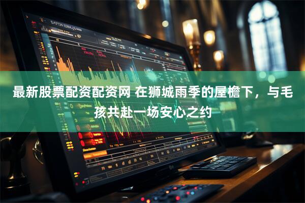 最新股票配资配资网 在狮城雨季的屋檐下，与毛孩共赴一场安心之约