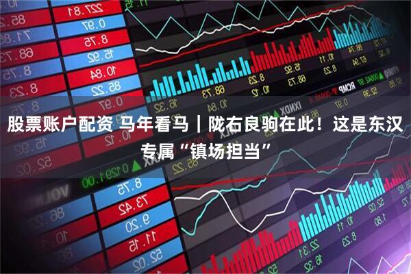 股票账户配资 马年看马｜陇右良驹在此！这是东汉专属“镇场担当”